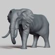 R02.jpg african elephant pose 03