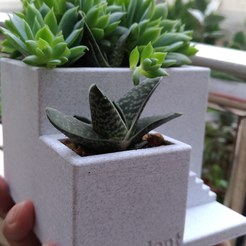 Capture d’écran 2017-05-12 à 18.15.30.png cement like succulent pot by orangeteacher