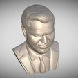 Zrzut-ekranu-2025-07-24-133910.png JD Vance bust for 3D printing