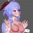 16.jpg GANYU BUNNY GENSHIN IMPACT CUTE SEXY GIRL GAME CHARACTER ANIME 3D PRINT
