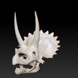 Ekran-Resmi-2024-12-07-13.20.35.png Triceratops Dinosaur Skull 3D Model