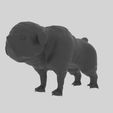 Bulldog-11.jpg Télécharger fichier STL Bulldog • Modèle imprimable en 3D, elitemodelry
