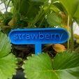 strawberry.jpg sign  for vegetables and aromatic plants