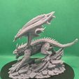 1000001025.jpg Rock Dragon