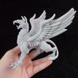 DSC04318.JPG STL file Griffon・Model to download and 3D print