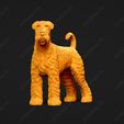 153-Airedale_Terrier_Pose_02.jpg Airedale Terrier Dog 3D Print Model Pose 02