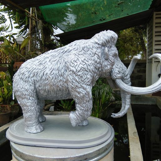 IMG20190514164505.jpg Mammouth