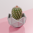 cac2.png Geodesic cactus pot planter