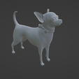 Capture-d’écran-2023-06-30-à-14.11.53.png dog chiwawa