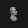 14.jpg Freddie Mercury 3D printable portrait