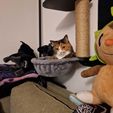 1000086868.jpg DIY cat tree / scratching post system: Modular & reusable (M8 & M10)