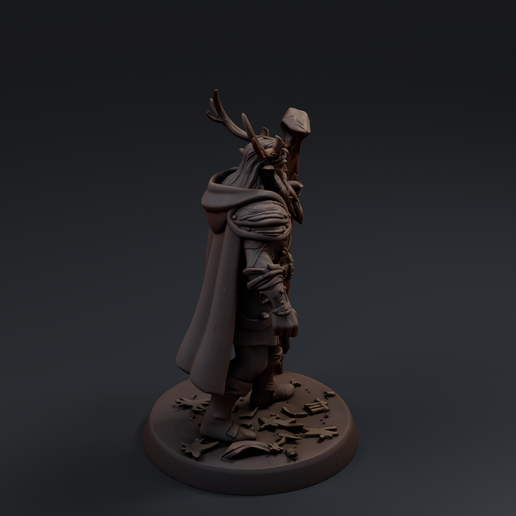 Wood Elf Druid 2 3D printable STL miniature