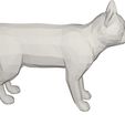 10003.jpg Cat