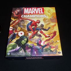 SAM_3231.JPG Marvel Champions - Organizer