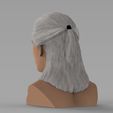 untitled.1726.jpg Geralt of Rivia The Witcher Cavill bust full color 3D printing