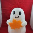Leaf.jpg Cute Ghost 3D Model with Interchangeable Magnetic Arms