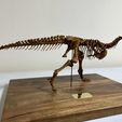 received_812972057461801.jpeg Carnotosaurus skeleton