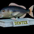 Dentex-mouth-statue-4.png fish Common dentex / dentex dentex open mouth statue detailed texture for 3d printing