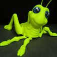 Cute-Grasshopper-7.jpg Cute Grasshopper (Easy print - Print in place)