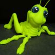Cute-Grasshopper-7.jpg Niedlicher Grashüpfer (Einfacher Druck - Druck an Ort und Stelle)