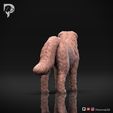 Bernese-Mountain-Dog-Pose-02-Dog-3D-Print-5s.jpeg Bernese Mountain Dog 3D Print Model Pose 02