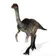 7000k.jpg DOWNLOAD Dinogall 3D MODEL ANIMATED - BLENDER - 3DS MAX - CINEMA 4D - FBX - MAYA - UNITY - UNREAL - OBJ -  Animal & creature Fan Art People Dinogall Dinosaur Gallimimus Gallimimus Aquilamimus Archaeornithomimus