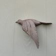 IMG_5543.jpeg Birds in Flight: Three beautiful wall-mounted bird sculptures