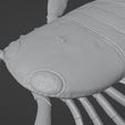 Jaekelopterus3D_07.jpg Sea scorpion (Jaekelopterus rhenaniae)