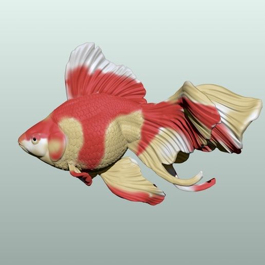 Goldfish Pose 1 3D model