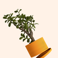 H33WORKS_POTnTRAY_4.png H33 DRIP PLANTER
