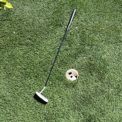 E2F08580-4396-452A-B5AB-04CB520C7020.jpeg Archivo STL gratis Copa Putting Green・Diseño por impresión en 3D para descargar