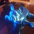DSC_8681_.jpg Articulated French Bulldog - FLEXI PRINT-IN-PLACE