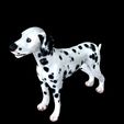 3890.jpg DOG - DOWNLOAD Dalmatian 3d model - Animated for blender-fbx- Unity - Maya - Unreal- C4d - 3ds Max - CANINE PET GUARDIAN WOLF HOUSE HOME GARDEN POLICE  3D printing DOG DOG