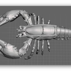 Ashampoo_Snap_2019.10.16_17h48m25s_001_.png STL file Maine style Lobster・Template to download and 3D print