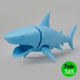 Shark_02.jpg Fichier 3D Requin pliable・Idée pour impression 3D à télécharger