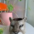 Puma Pot