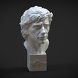 untitled.1069.jpg Ayrton Senna 3d