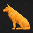 459-Australian_Cattle_Dog_Pose_04.jpg Australian Cattle Dog 3D Print Model Pose 04