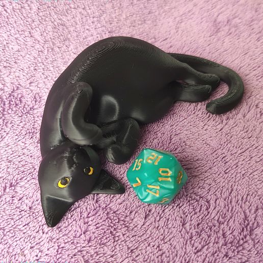 IMG_20250311_161142714.jpg Würfel Wächter Katze