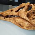 spinosaurus-dinosaur-skull-3d-printing-223630.jpg Spinosaurus Dinosaur Skull