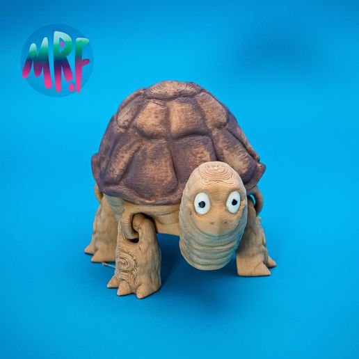 01.jpg FLEXI PRINT-IN-PLACE TURTLE