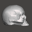 04.png Skull_001