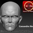 Cassandra-1EE.jpg HotToys X-MEN Action Figure Head sculpt 1:6th scale - Cassandra Nova