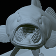 Bass-stocenej-29.png fish bass trophy statue detailed texture for 3d printing