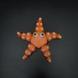 Starfish.jpg FLEXI STARFISH