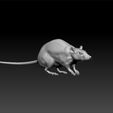 rat1111.jpg Lab Rat -rat 3d model for 3d print