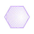 100hex_customizer_20171105-16124-3fbp4m-0.stl Concentric circles 100hex object