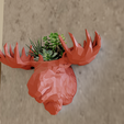 elk-wall-planter-low-poly-1png.png Elk moose wall mount planter pot flower vase 3d print file