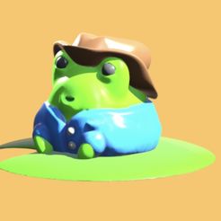 IMG_0029.jpeg litle cowboy frogy