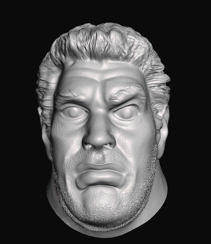 STL file Andre the Giant Head wwf・3D printer design to download・Cults